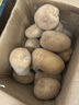 京鲜生 河南新鲜土豆 净重9斤 新鲜现挖 黄心马铃薯蔬菜源头直发 实拍图