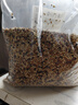 再再混合鸟粮鸟食鸟料鹦鹉饲料虎皮玄凤牡丹粮食五色黍子带壳五谷 五色黍子一斤装 实拍图
