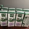 金典（SATINE）7月伊利金典纯牛奶250ml/200ml*12盒整箱装原生高钙营养早餐牛奶 【7月产】金典高钙低脂12盒 实拍图