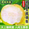 京地达梨山东玉露香梨子水果礼盒净重9斤单果350g+节日送礼源头直发包邮 晒单实拍图