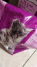 伟嘉成猫猫粮3.6kg海洋鱼味布偶英短猫咪夹心粮全价粮【原料透明】 实拍图