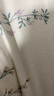 滴露（Dettol）消毒液衣物除菌液洗衣消毒水1.8L杀菌除螨 家居宠物消毒除菌  实拍图