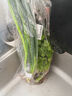 带根香菜100g 实拍图