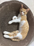 疯狂的主人 猫抓板窝特大号猫玩具猫爪板猫抓盆不掉屑猫窝碗形圆形瓦楞纸 实拍图