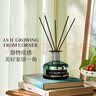 斯卡珞五星级酒店香薰室内卧室持久留香家用办公房间卫生间厕所香氛摆件 【耐用套装】酒店白茶+500ml补充液 实拍图