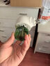 润本户外驱蚊液220ml×3瓶防蚊虫叮咬驱蚊喷雾花露水7%驱蚊脂无香 实拍图