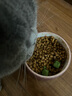 力狼猫罐头补水汤罐猫咪汤包幼猫成猫零食宠物食品猫湿粮 【1罐尝鲜】金枪鱼味补水汤罐85g 实拍图