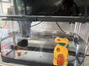 阔庭（KUOTING）鱼缸水族箱生态桌面鱼缸新款懒人鱼缸生态造景过滤制氧一体机黑色 实拍图