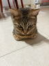 KONOKO宠物免洗手套猫咪清洁湿巾狗狗干洗澡擦全身泪痕除臭抑菌螨湿纸巾 实拍图
