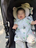 babycare&bctoys仿真恐龙套装模型益智儿童玩具男女孩生日礼物-12只装 实拍图
