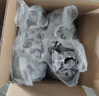 绿之源除甲醛活性炭4KG 360°安全卫士新房炭包新车除甲醛净化碳包 实拍图