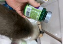 博乐丹猫化毛球片  宠物成猫幼猫猫草片化毛片去毛球预防毛球片剂 博乐丹化毛球片200粒/罐*2瓶 实拍图