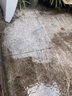 家可美（jiakemei）水泥地面清洁剂院子黑垢青苔油污地板强力去污庭院瓷砖石材清洗剂 2500ml 1瓶 水泥地清洗剂 晒单实拍图
