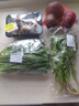 带根香菜100g 实拍图