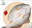 仙泉湖三去斑点尾鲈鱼1斤单条净膛后冷冻肉厚刺少 海鲜水产生鲜食材 实拍图