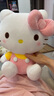 Hello Kitty三丽鸥KT猫毛绒玩偶玩具抱枕女孩娃娃元旦新年礼物女孩生日礼物 实拍图