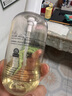 Evereden抚触油宝宝舒缓润肤油 新生儿按摩油天然抚触小金瓶老爸抽检300ml 实拍图