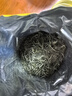乐品乐茶特级毛尖绿茶2025新茶明前特级春茶嫩芽冷泡茶叶解暑250g送礼品袋 实拍图