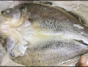 卖鱼七郎 三去开背海鲈鱼1斤（含保护冰50g）共2条去鳞去腮去内脏鱼类海鲜 实拍图
