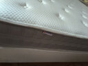 龙凤床垫国家补贴家用乳胶独立弹簧席梦思1.8x2米记忆棉环保椰棕护脊床垫 净享B型23cm：正面硬 1500*1900 实拍图