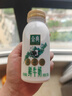 伊利金典鲜牛奶 全脂分享装巴氏杀菌 低温牛奶 235ml*4 实拍图