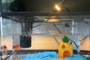 阔庭（KUOTING）鱼缸水族箱生态桌面鱼缸新款懒人鱼缸生态造景过滤制氧一体机黑色 实拍图