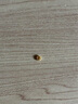 喜上眉梢足金999古法金珠车轮隔珠哑光磨砂面转运珠散珠隔片手工DIY手绳 0.16g 薄款车轮珠单颗 实拍图