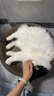 疯狂的主人圆形猫抓板窝耐磨不掉屑猫窝一体猫咪抓盆超大号抓不烂猫爪板耐抓 实拍图