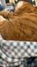 猫人280克高克重牛奶绒毛毯午睡毯子加厚珊瑚绒 办公室盖毯 150*200cm 实拍图