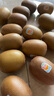 佳沛（zespri）新西兰  阳光金奇异果巨大果22粒原箱 单果重约144-175g 猕猴桃 实拍图