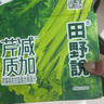 田野说芹菜汁248ml*10瓶 混合果蔬汁羽衣甘蓝儿童宝宝蔬菜汁饮料 实拍图