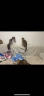 怡亲猫砂膨润土猫砂10kg猫沙20斤除臭豆腐伴侣低粉尘十公斤猫咪用品 原味膨润土猫砂-10kg 实拍图