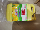 立白清新柠檬味洗洁精大桶1.5kg 除味去油去腥 餐具净洗涤灵洗碗液 实拍图