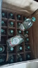 泰象泰国进口大象啤酒进口啤酒Chang beer象牌双象啤酒大象瓶装整箱 泰象苏打水气泡水 325mL 24瓶 实拍图