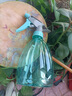 喷壶浇花浇水喷雾器气压式喷水壶家用园艺养花500ml 南瓜喷壶透蓝【1个装】 实拍图