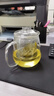 忆壶茶（YIHUTEA） 茶壶玻璃泡茶壶玻璃茶具 茶水分离煮茶壶玻璃水壶保温加热煮茶器 【一壶2杯】650ML泡茶壶 实拍图