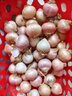 志褚独头蒜大蒜头 2024云南大理紫皮独蒜 精品新鲜现挖湿蒜 1斤装【珍珠小蒜2.2cm以下】 实拍图
