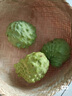 立白卫仕天然除菌洗衣液 8斤家庭装 除菌率99.99% 72小时长效抑菌 实拍图
