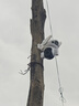 霸天安4G太阳能摄像头 监控室外免插电无需连wifi终身免流量 监控器360度无死角带夜视 全景追踪手机远程 实拍图