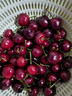 采缇智利进口车厘子樱桃车厘子1-5斤次日达樱桃新鲜水果当季时令整箱 3斤(净重) 礼盒装 4J 32mm(含)-34mm(不含） 实拍图