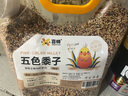 喜帅 五色黍子混色鸟粮2kg （新粮）鹦鹉粮食鸟食虎皮牡丹粮玄凤饲料 实拍图