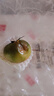 京鲜生 山东精品草莓番茄 净重4.5斤单果70+水果铁皮西红柿 源头直发 实拍图
