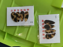带伊夏古筝指甲套免用胶布儿童专用初学小号透气硅胶成人大号专业演奏 透气款肤色 中号双手 实拍图