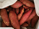 金百粟临安天目山小香薯 新鲜现挖红薯小番薯地瓜蔬菜现发 小香薯净重2.5斤精选小果 实拍图