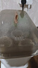 贝因美（Beingmate）婴儿奶瓶消毒烘干一体机二合一多功能蒸汽高温奶瓶消毒锅柜 实拍图