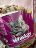 伟嘉成猫猫粮全价粮1.3kg海洋鱼味夹心粮布偶蓝猫橘猫加菲英短猫咪 实拍图