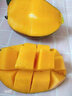 四川攀枝花凯特芒果新鲜当季大芒果 新鲜水果礼盒 10斤 实拍图
