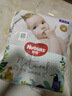 好奇好奇心钻装小森林婴儿拉拉裤 超薄透气通用尿不湿小内裤 森林密语 森林密语拉拉裤XXL28片1包 通用 实拍图