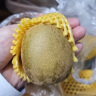 佳沛（zespri）新西兰  金果16粒猕猴桃礼盒经典果单果 77-103g 端午节水果礼盒 实拍图