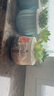 两腿跑【送货上门】三八节多肉植物带盆桌面盆栽组合绿植花卉幼儿园盆栽 北欧6盆(带盆栽好) 实拍图